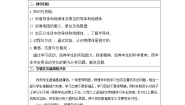 初中物理北师大版九年级全册六 探究——不同物质的导电性能教案