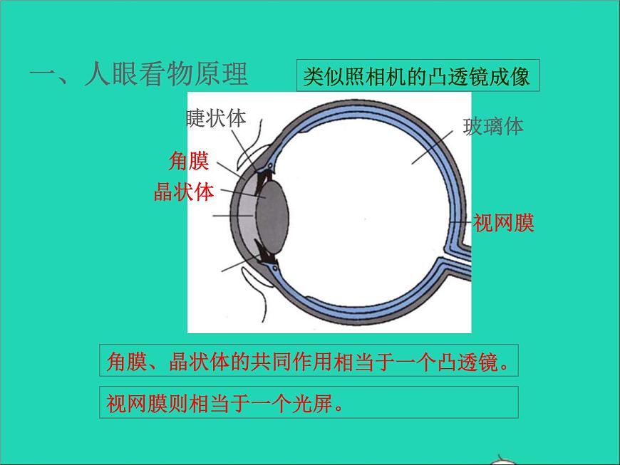 2022八年級物理上冊第四章光的折射透鏡4.4照相機(jī)與眼球視力的矯正課件新版蘇科版第2頁