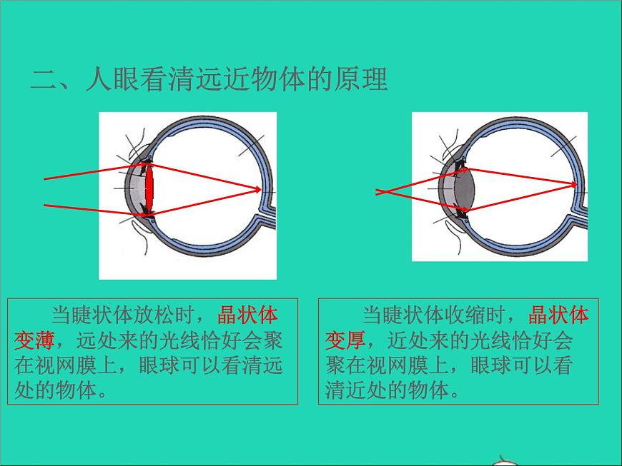 2022八年級物理上冊第四章光的折射透鏡4.4照相機(jī)與眼球視力的矯正課件新版蘇科版第3頁