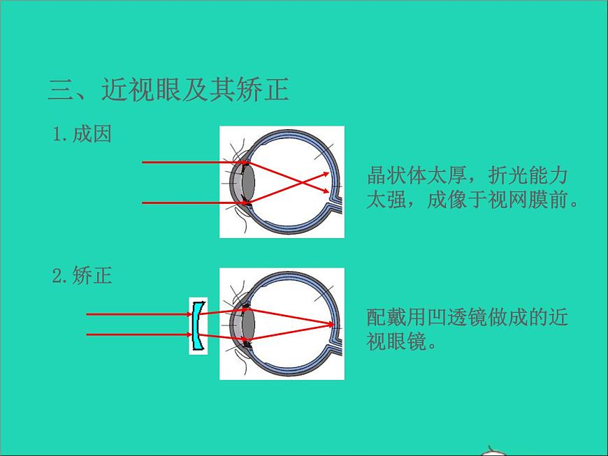 2022八年級物理上冊第四章光的折射透鏡4.4照相機(jī)與眼球視力的矯正課件新版蘇科版第4頁
