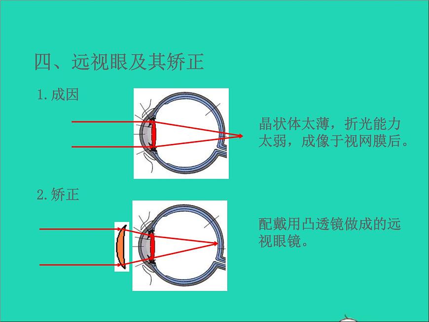 2022八年級物理上冊第四章光的折射透鏡4.4照相機(jī)與眼球視力的矯正課件新版蘇科版第5頁
