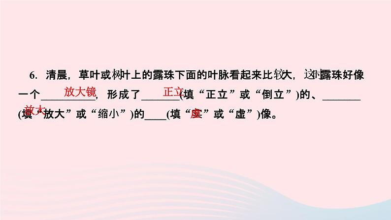 物理人教版八年级上册 同步教学课件第5章-透镜及其应用 第2节 生活中的透镜08