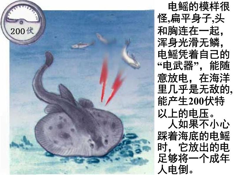 教科版九年级上册物理 4.2 电压:电流产生的原因 课件06