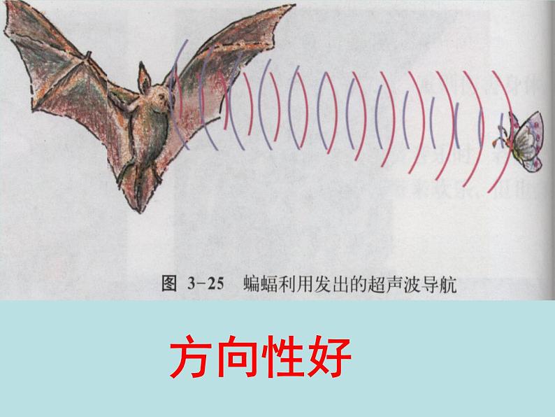 苏科版八年级上册物理 1.4 人耳听不见的声音 课件第6页