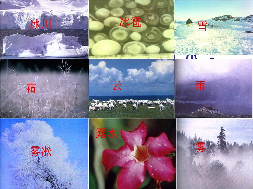 蘇科版八年級(jí)上冊(cè)物理  2.1 物質(zhì)的三態(tài) 溫度的測(cè)量 課件第4頁(yè)