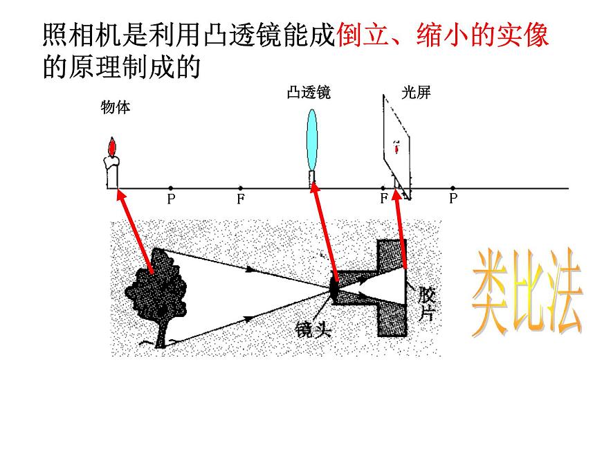 蘇科版八年級上冊物理  4.4 照相機與眼睛 視力的矯正 課件第3頁
