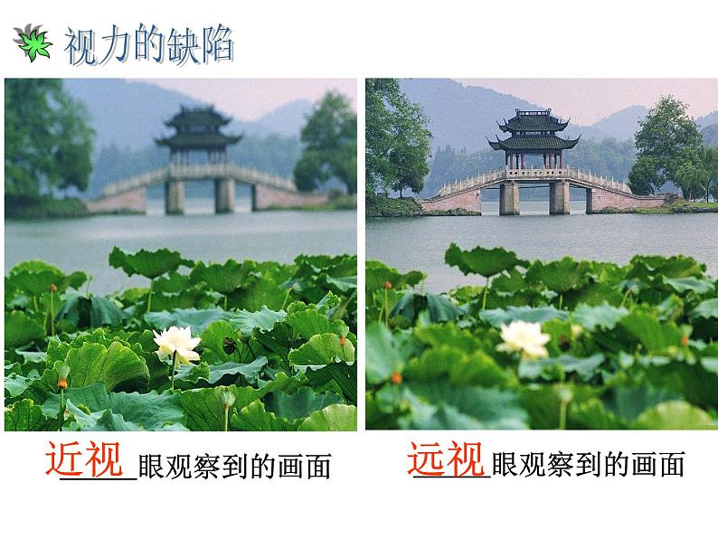 苏科版八年级上册物理 4.4 照相机与眼睛 视力的矫正 课件06