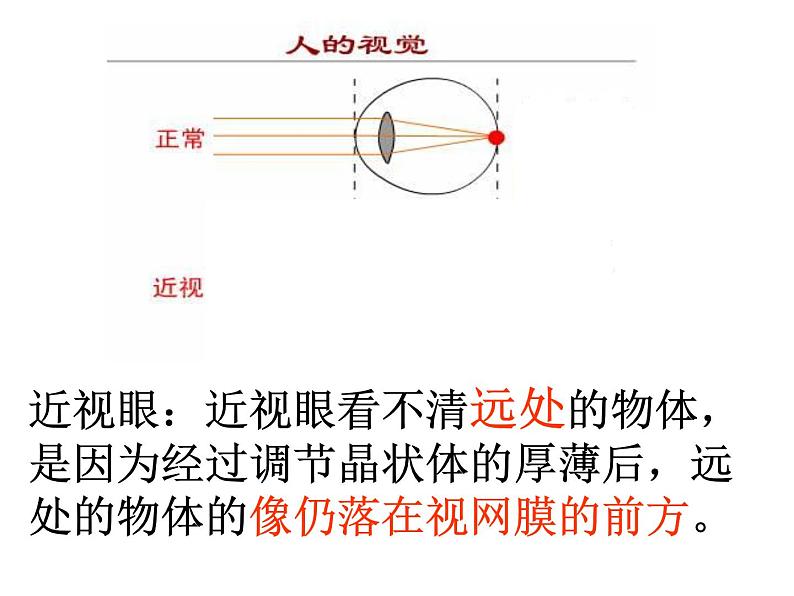 苏科版八年级上册物理 4.4 照相机与眼睛 视力的矫正 课件07