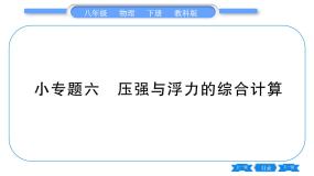 初中物理教科版八年级下册3 科学探究：浮力的大小习题ppt课件