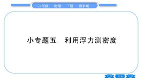 初中物理教科版八年级下册3 科学探究：浮力的大小习题ppt课件