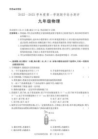 广东省河源市紫金县2022-2023学年九年级上学期期中考试物理试题