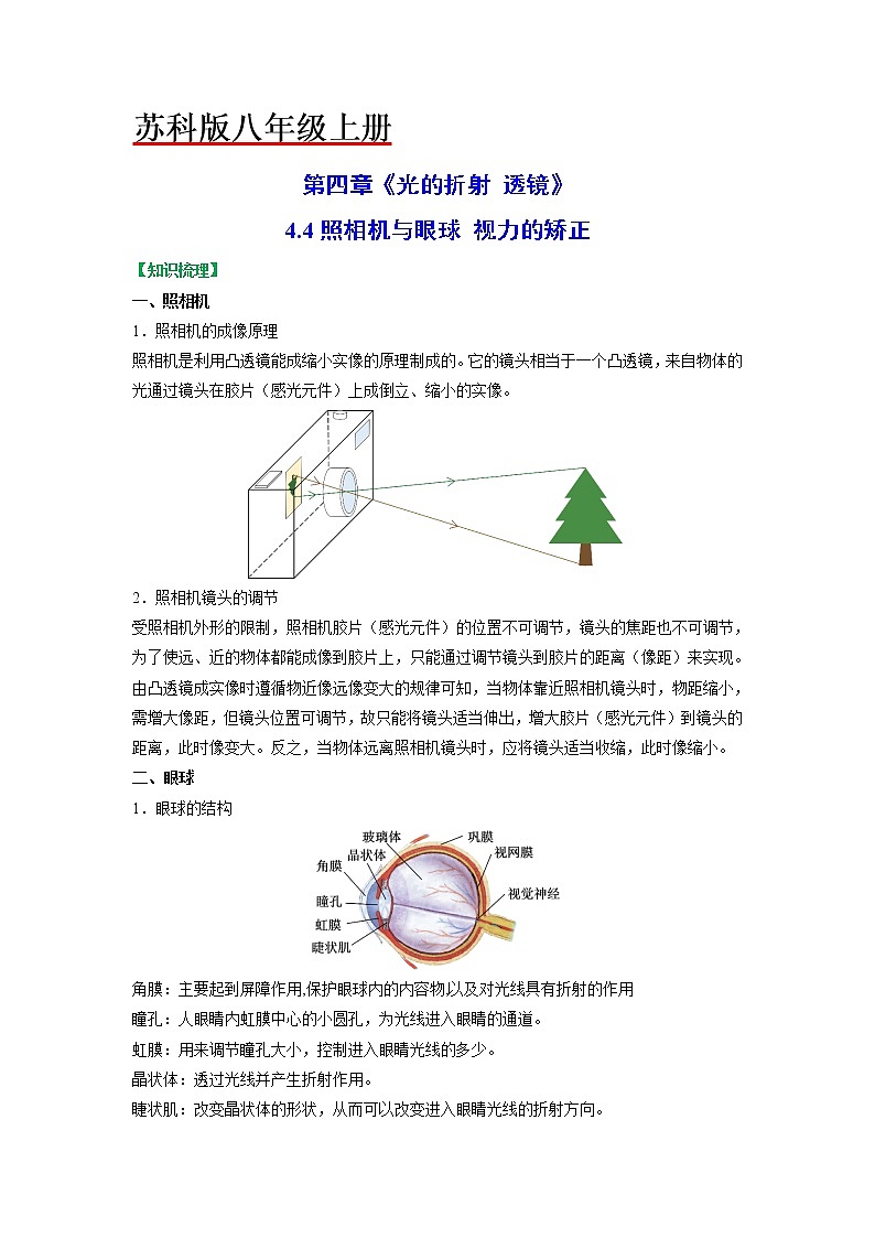苏科版初二物理上册 4.4 照相机与眼球 视力的矫正【知识梳理+易错】(含答案)第1页