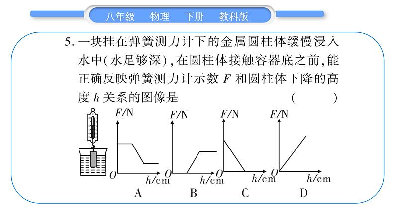 教科版八年级物理下单元周周测七 (10.1一10.3)习题课件06