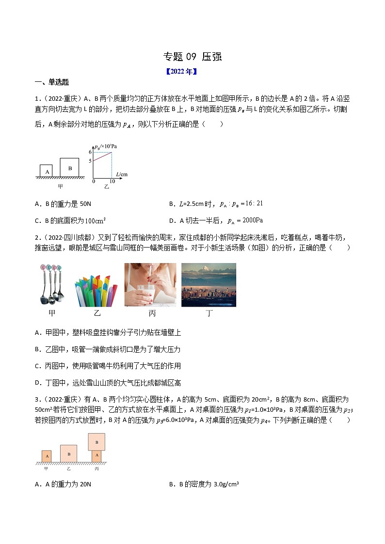 专题09 压强-(2022-2020)三年中考物理试题分项汇编(全国通用)(原卷版)第1页