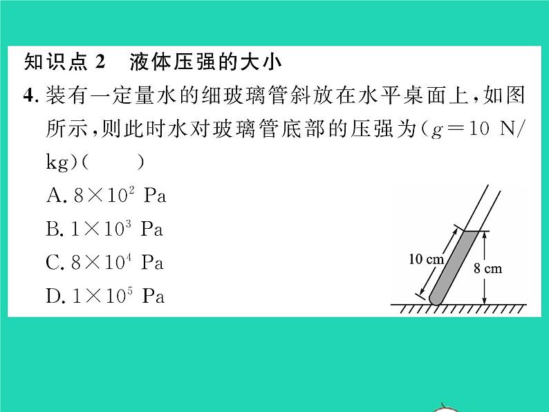 2022八年级物理全册第八章压强第二节科学探究:液体的压强第1课时液体压强的特点习题课件新版沪科版08