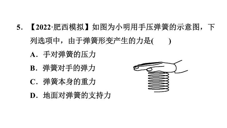 人教版物理八年级下册7.2弹力课件第7页