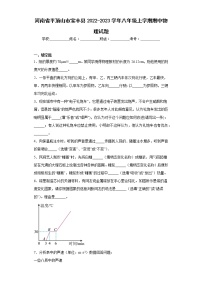 河南省平顶山市宝丰县2022-2023学年八年级上学期期中物理试题(含答案)