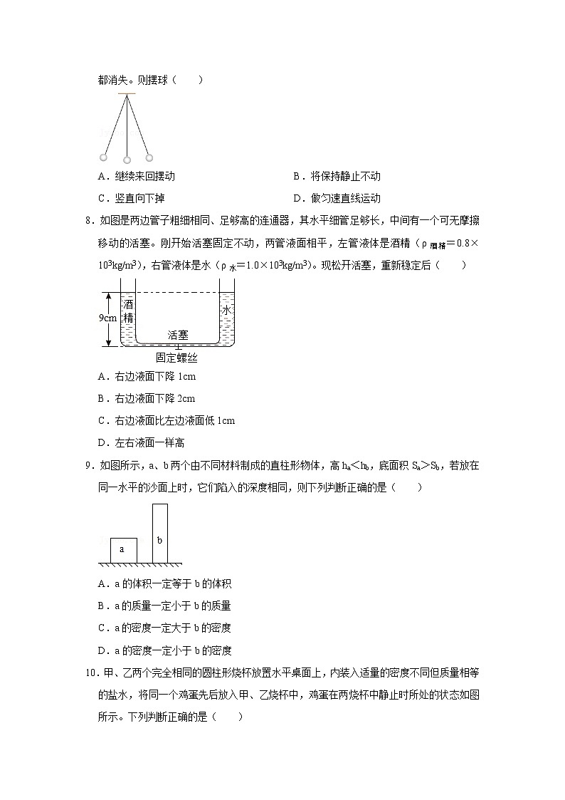 广东省广州市番禺区执信中学2019-2020学年八年级下学期期中物理试题第3页