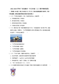 廣東省惠州一中2022-2023學(xué)年九年級(jí)上學(xué)期期中物理試題