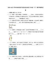 河南省驻马店市汝南县2020-2021学年八年级下学期期中物理试题