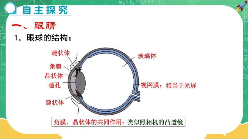 4.6.1 神奇的眼睛  第1课时（课件+教案+练习）07