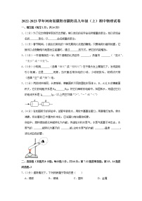 河南省濮阳市濮阳县2022-2023学年九年级上学期期中物理试题