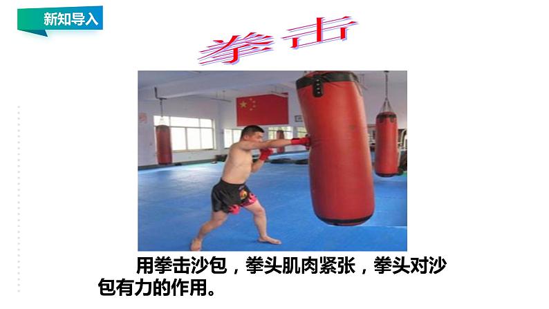 8.1 力 弹力 教案学案课件05