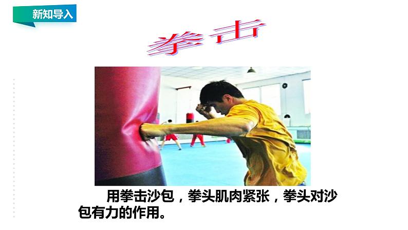 8.1 力 弹力 教案学案课件06