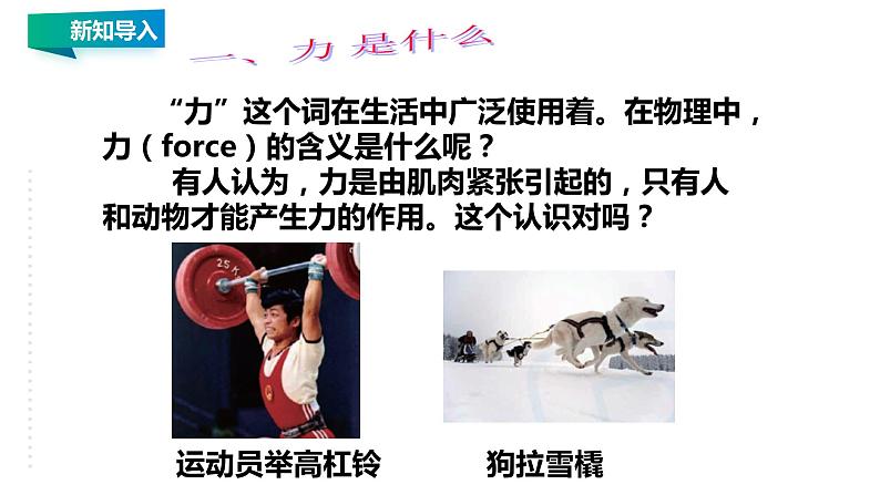 8.1 力 弹力 教案学案课件08