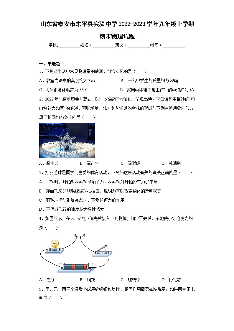 山东省泰安市东平县实验中学2022-2023学年九年级上学期期末物理试题第1页
