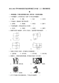 河南省驻马店市驿城区2022-2023学年九年级上学期期末物理试题