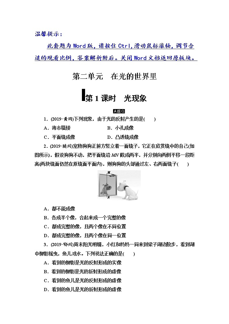 初中物理中考复习 第2单元 第1课时 光现象第1页