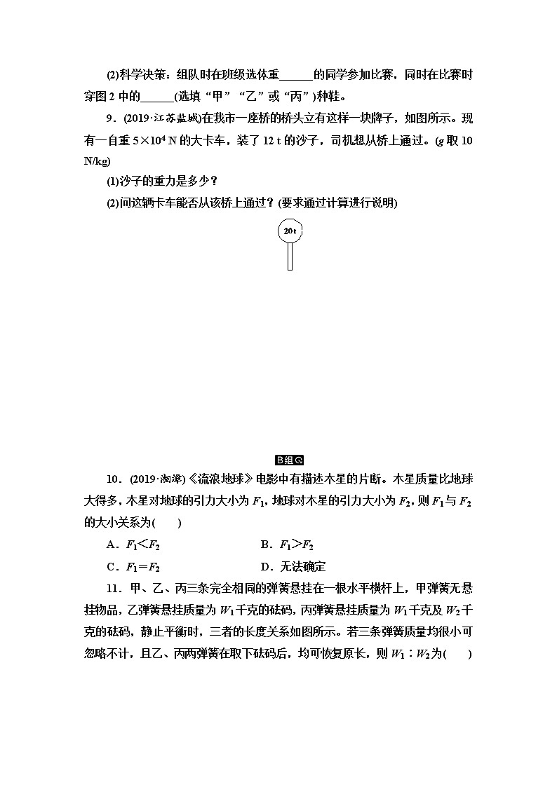 初中物理中考复习 第5单元 第1课时 力第3页
