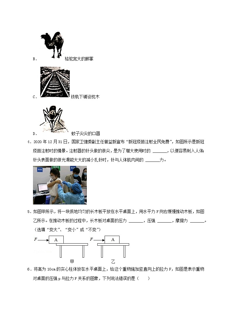 初中物理中考复习 第9章 压强(原卷版)03