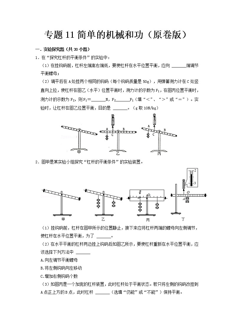 专题11 简单的机械和功- 中考物理实验与探究专题训练(全国通用)01