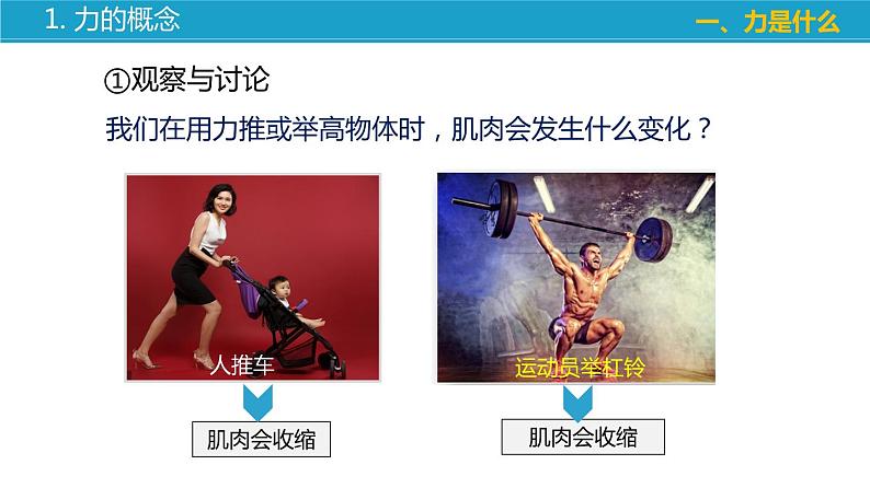 8.1+力+弹力+(课件)-苏科版八年级物理下册同步教学精美课件第7页
