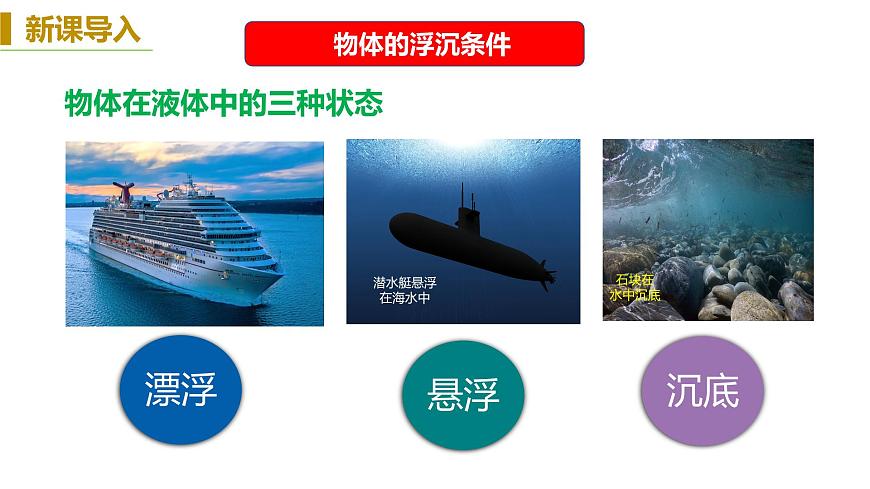 10.3+物體的浮沉條件及應用+2022-2023學年人教版物理八年級下冊課件PPT第2頁