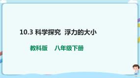 初中物理教科版八年级下册3 科学探究：浮力的大小课堂教学ppt课件