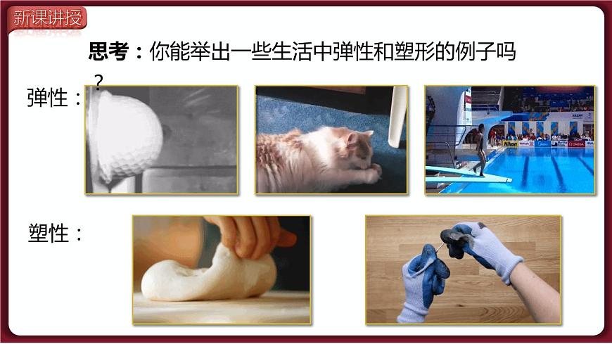 第2節(jié) 彈力第5頁