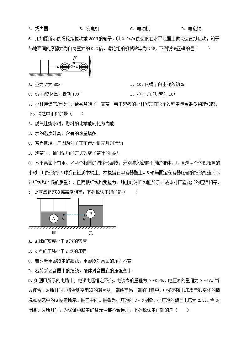 2023年初中學業(yè)水平考試一模精品物理試卷（遼寧省專用）（原卷版） 第2頁