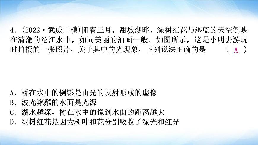 中考物理復(fù)習(xí)第2講光現(xiàn)象作業(yè)課件第5頁