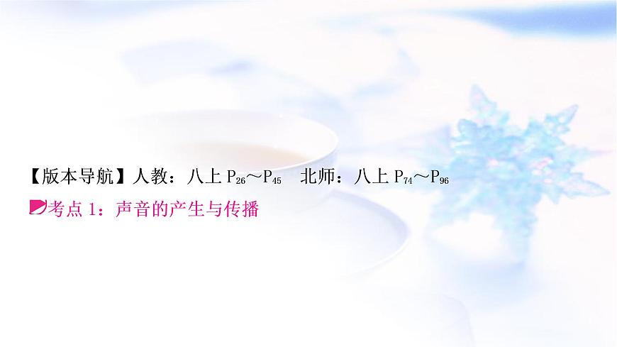 中考物理復(fù)習(xí)第1講聲現(xiàn)象教學(xué)課件第3頁(yè)