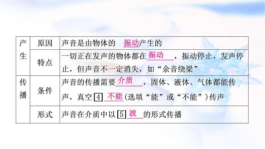 中考物理復(fù)習(xí)第1講聲現(xiàn)象教學(xué)課件第4頁(yè)