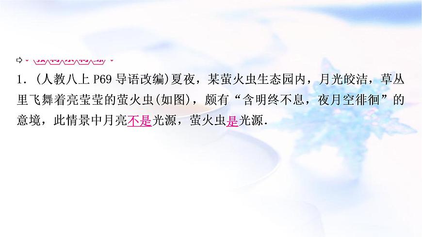 中考物理復(fù)習(xí)第2講光現(xiàn)象教學(xué)課件第5頁(yè)