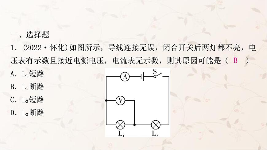 人教版中考物理復習專題5電路故障分析作業(yè)課件第2頁