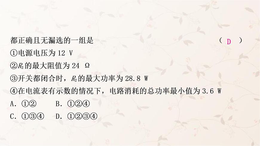 人教版中考物理復(fù)習(xí)專題9極值、范圍類相關(guān)計算作業(yè)課件第5頁