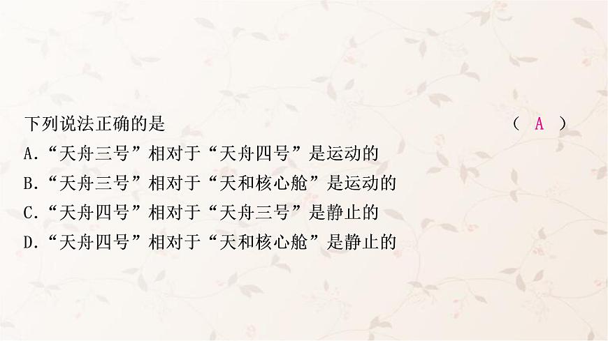 人教版中考物理復習第1講機械運動作業(yè)課件第4頁