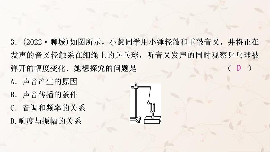 人教版中考物理復(fù)習(xí)第2講聲現(xiàn)象作業(yè)課件第4頁(yè)