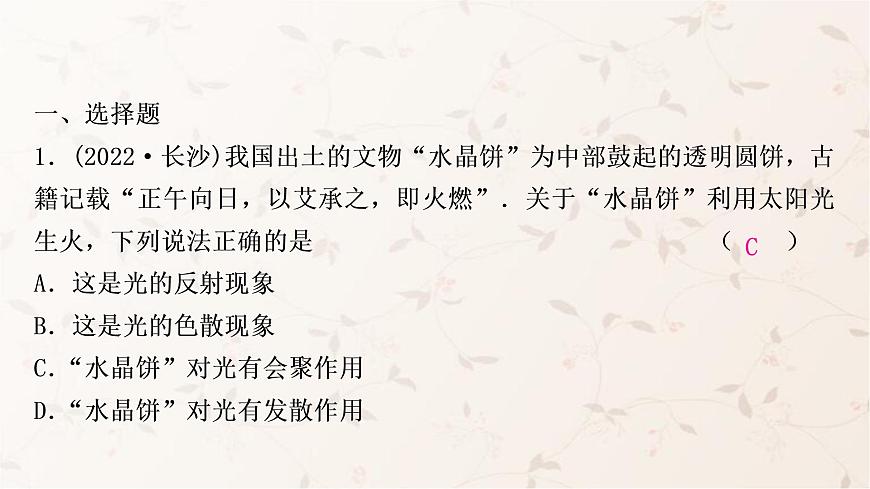 人教版中考物理復(fù)習(xí)第5講透鏡及其應(yīng)用作業(yè)課件第2頁