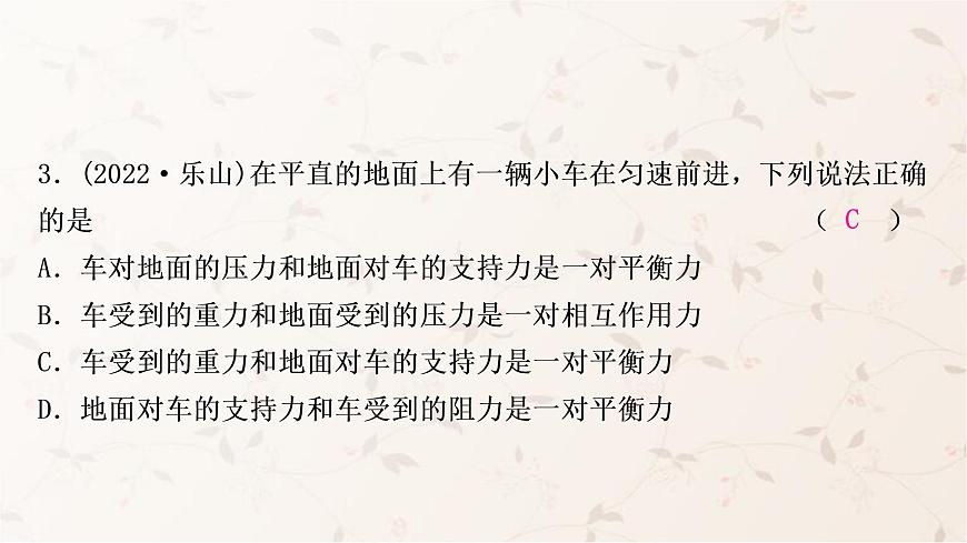 人教版中考物理復(fù)習(xí)第7講力運動和力第2課時牛頓第一定律二力平衡作業(yè)課件第4頁